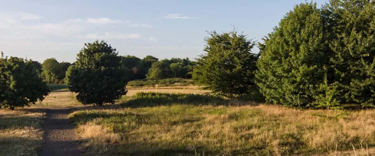 Alexandra Millennium Green panoramic view