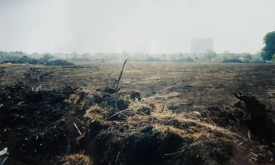 Overgrown allotments in 1990