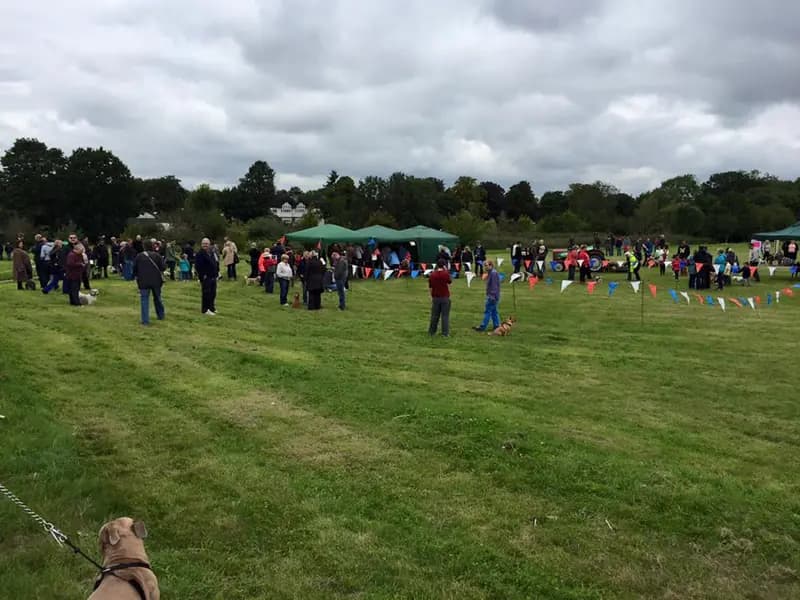 Alexandra Millennium Green - Evolution 3