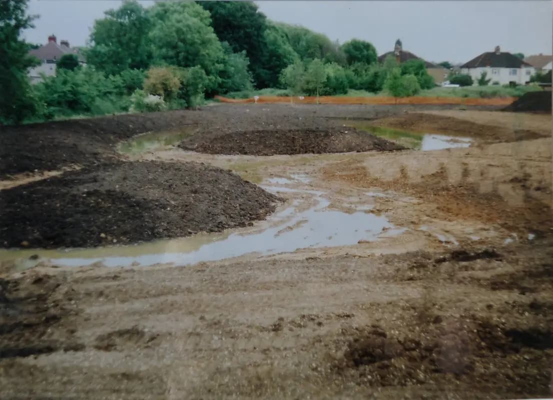 Digging the pond