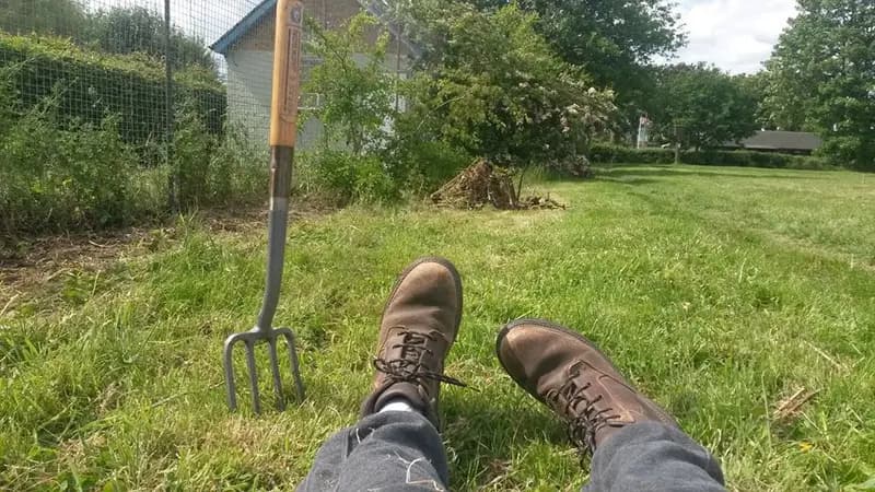 Volunteers digging