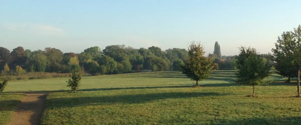Alexandra Millennium Green historical view