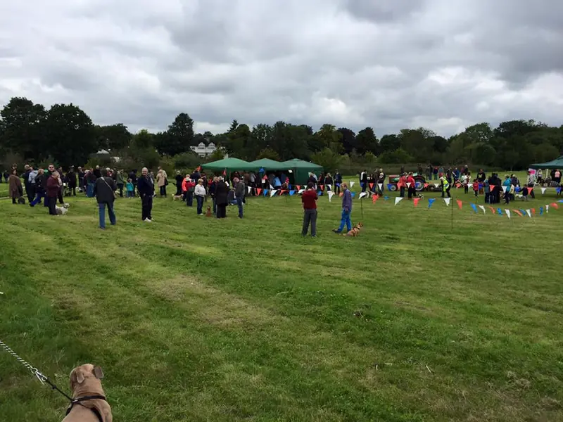 Alexandra Millennium Green - Evolution 3