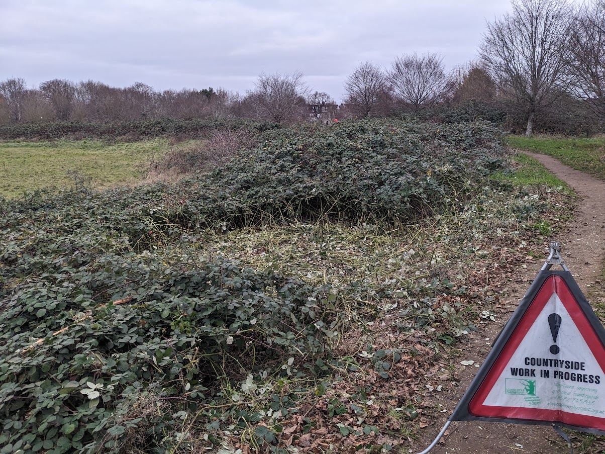 Central Area Bramble Clearance