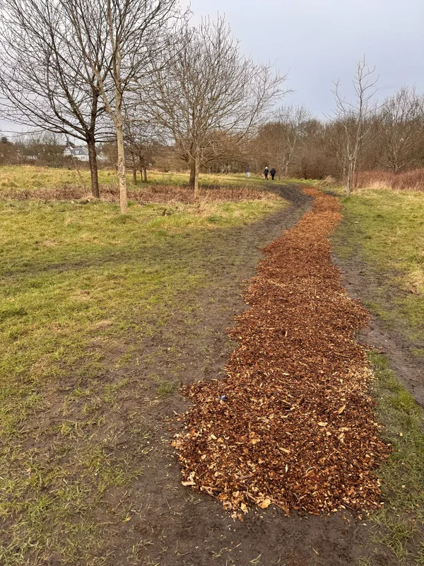 Winter Path Repair
